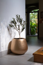 Cargar imagen en el visor de la galería, Copa