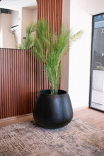 Cargar imagen en el visor de la galería, Copa