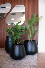 Cargar imagen en el visor de la galería, Copa