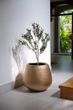 Cargar imagen en el visor de la galería, Copa