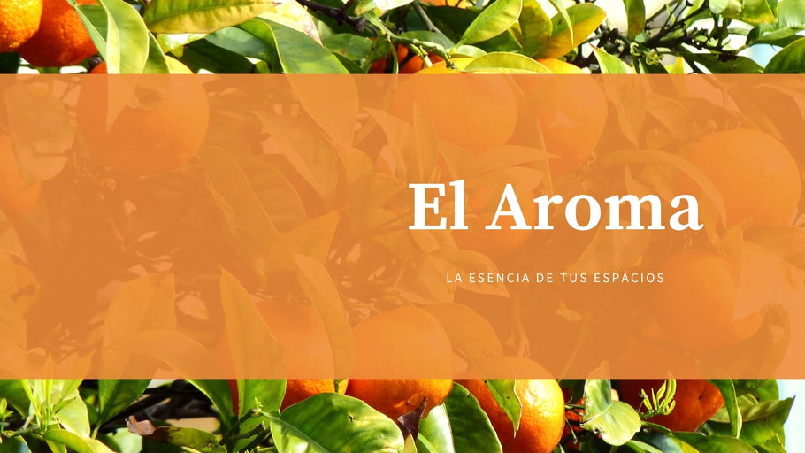 El Aroma: la esencia de tus espacios