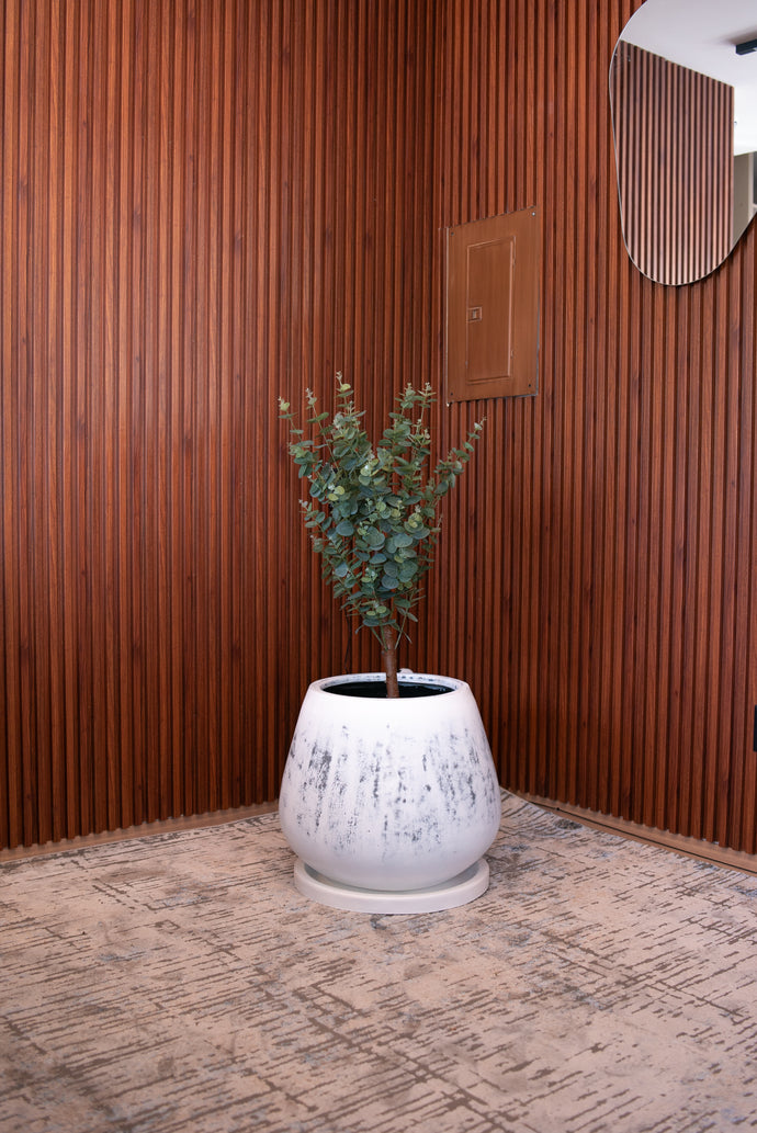 Copa