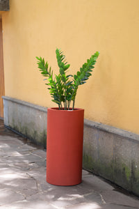 CILINDRO ALARGADO